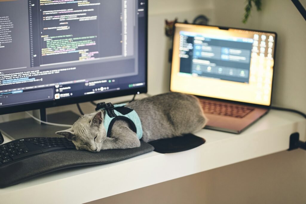 crypto research assistant